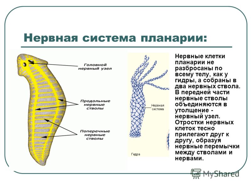 Как пополнить кошелек на кракене