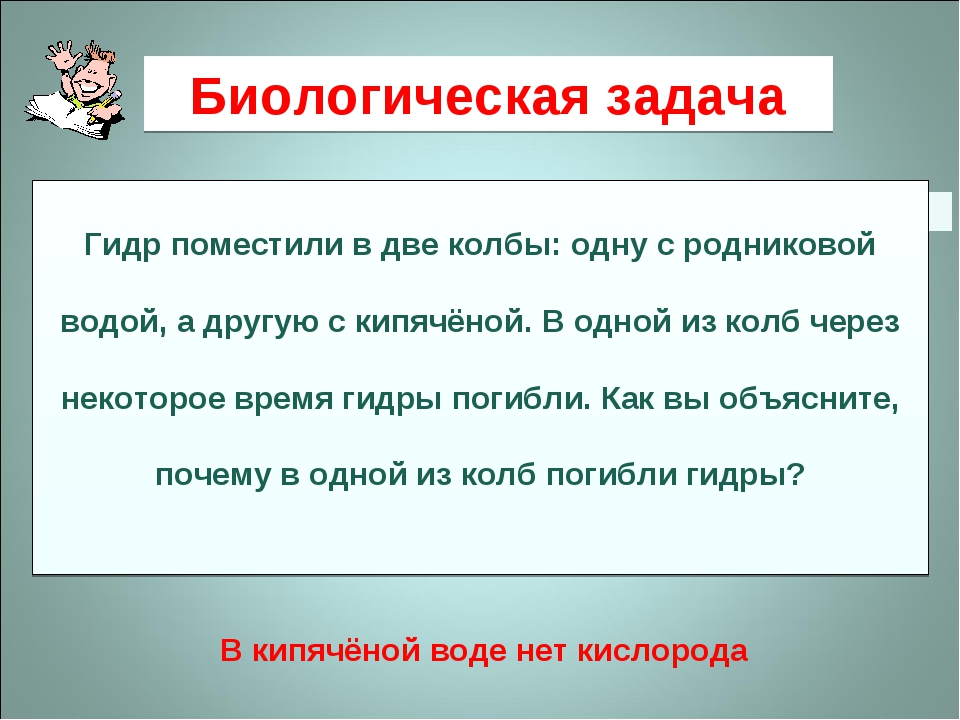 Кракен ссылка тор браузер