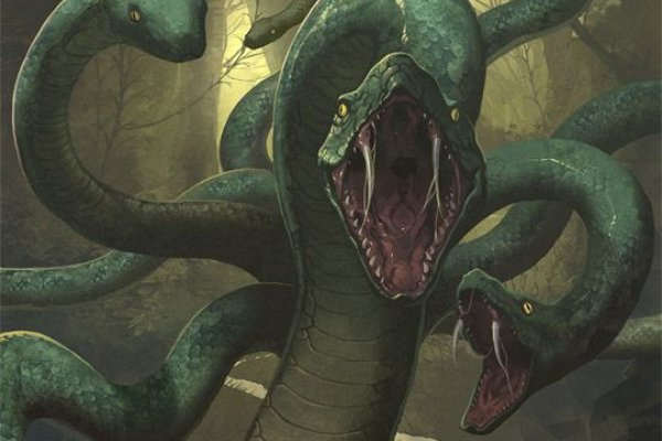 Kraken tor