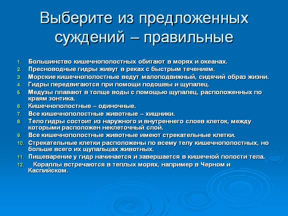 Зеркала на кракен kraken014 com